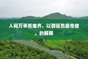人间万事苦难齐，以醉驱愁最奇捷。的解释