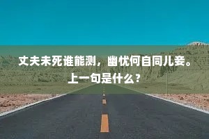 丈夫未死谁能测，幽忧何自同儿妾。上一句是什么？