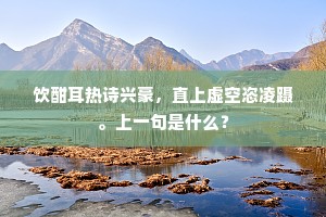 饮酣耳热诗兴豪，直上虚空恣凌蹑。上一句是什么？