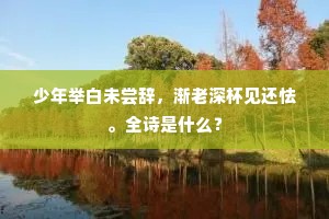 少年举白未尝辞，渐老深杯见还怯。全诗是什么？