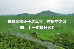 是非杂然于子之耳兮，付庭中之叹蚓，上一句是什么？