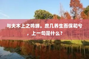 与夫木上之鸣蝉。庶几养生而保和兮，上一句是什么？
