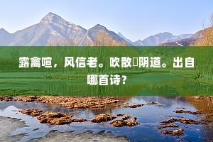 露禽喧，风信老。吹散漷阴道。出自哪首诗？