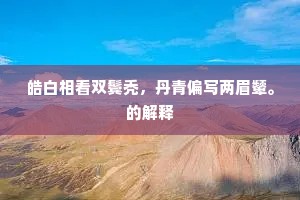 皓白相看双鬓秃，丹青偏写两眉颦。的解释