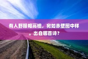 有人野服帽高檐，宛如赤壁图中样。出自哪首诗？