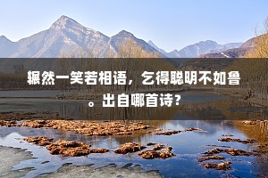 辗然一笑若相语，乞得聪明不如鲁。出自哪首诗？