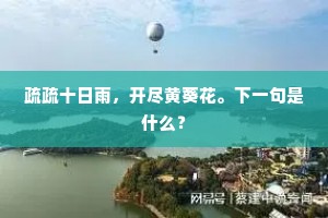 疏疏十日雨，开尽黄葵花。下一句是什么？