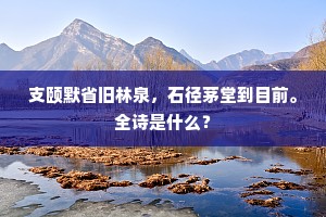 支颐默省旧林泉，石径茅堂到目前。全诗是什么？