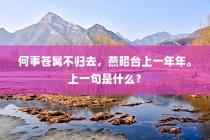 何事苍髯不归去，燕昭台上一年年。上一句是什么？