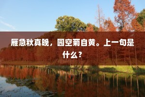 雁急秋真晚，园空菊自黄。上一句是什么？