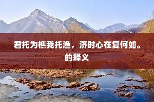 君托为樵我托渔，济时心在复何如。的释义