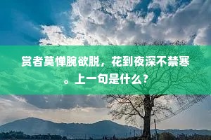 赏者莫惮腕欲脱，花到夜深不禁寒。上一句是什么？