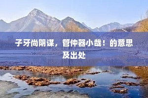 子牙尚阴谋，管仲器小哉！的意思及出处