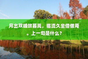 月出双峰敛暮岚，临流久坐借僧庵。上一句是什么？