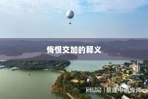 悔恨交加的释义