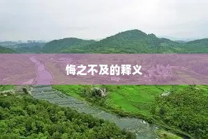 悔之不及的释义