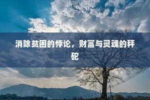 消除贫困的悖论，财富与灵魂的秤砣