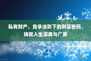 私有财产，竞争法则下的财富密码，铸就人生深度与广度