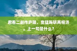 君看二赵作庐陵，宽猛晦明两相济。上一句是什么？