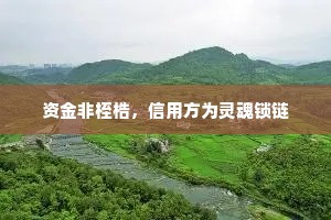 资金非桎梏，信用方为灵魂锁链