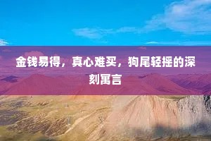 金钱易得，真心难买，狗尾轻摇的深刻寓言