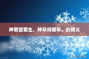 种菊望菊生，种早得菊早。的释义