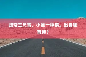 疏帘三尺雪，小簟一枰棋。出自哪首诗？