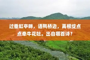 过垂虹亭畔，语鸭桥边，离根绽点点牵牛花吐。出自哪首诗？