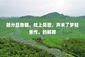 随分且奇眠，枕上吴歌，声未了梦轻重作。的解释