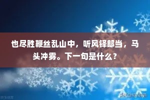 也尽胜鞭丝乱山中，听风铎郎当，马头冲雾。下一句是什么？
