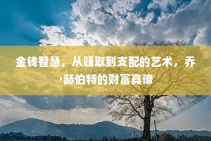 金钱智慧，从赚取到支配的艺术，乔·赫伯特的财富真谛