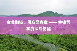 金非枷锁，用方显真章 —— 金钱哲学的深刻觉醒