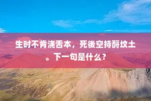 生时不肯浇舌本，死後空持酹坟土。下一句是什么？