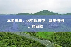 又老三年，记中秋未中，酒半伤别。的解释