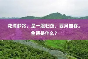 花潭梦冷，是一般归燕，西风如客。全诗是什么？