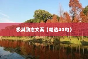 极其励志文案（精选40句）