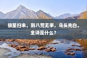 狼星扫未，到八荒无事，乌头先白。全诗是什么？