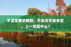不泥筌蹄求解脱，不执文字迷本空。上一句是什么？