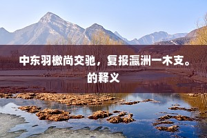 中东羽檄尚交驰，复报瀛洲一木支。的释义