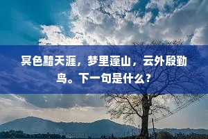 冥色黯天涯，梦里蓬山，云外殷勤鸟。下一句是什么？