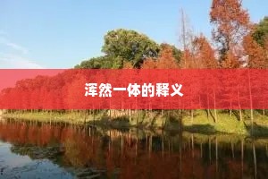 浑然一体的释义