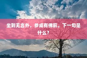 坐到无言外，参成有佛前。下一句是什么？
