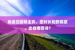 真逸岂因明主弃，圣时长和野民歌。出自哪首诗？