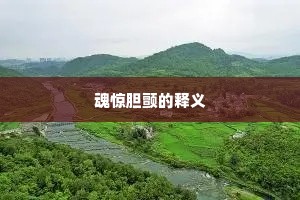 魂惊胆颤的释义