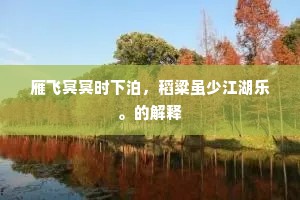 雁飞冥冥时下泊，稻粱虽少江湖乐。的解释