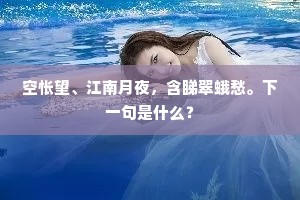 空怅望、江南月夜，含睇翠蛾愁。下一句是什么？