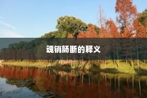 魂销肠断的释义