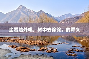坐看墙外帆，树中去徐徐。的释义