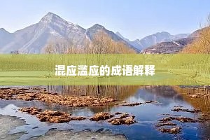 混应滥应的成语解释