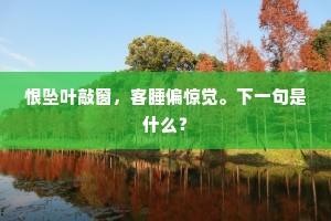 恨坠叶敲窗，客睡偏惊觉。下一句是什么？